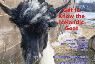 Goat Journal Digital Issue 19